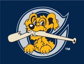 Logan Brown Muzzles RiverDogs in 1-0 Greenville Victory