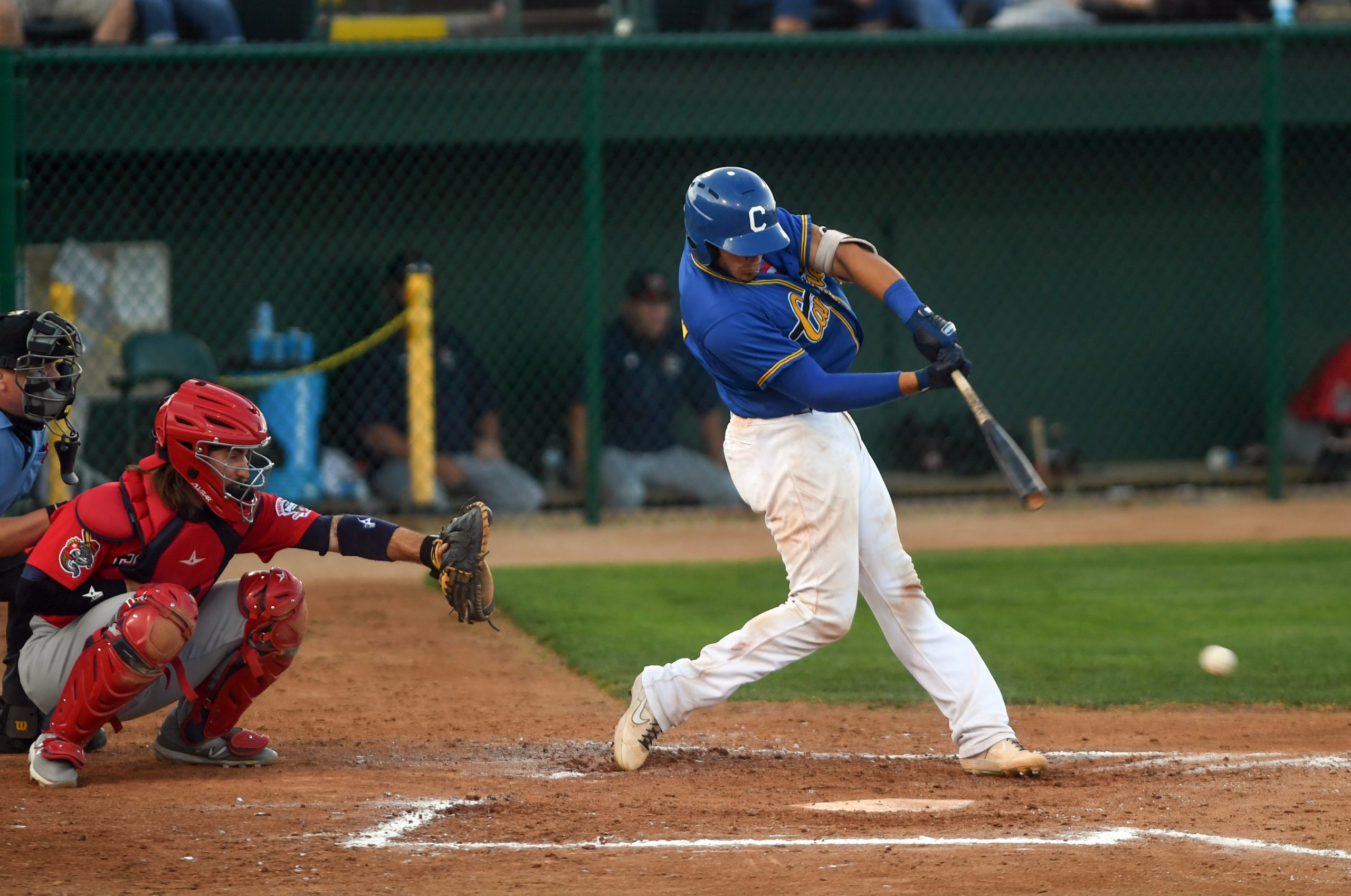 Canaries Dominated by Goldeyes in Rubber Match, 16-4