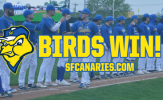 Gotta Leads Canaries in Rout of Goldeyes