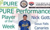 Sioux Falls Canaries Nick Gotta Named PURE Performance Player of the Week