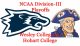 NCAA Division-III Football Playoffs, Round 3: Wesley vs. Hobart